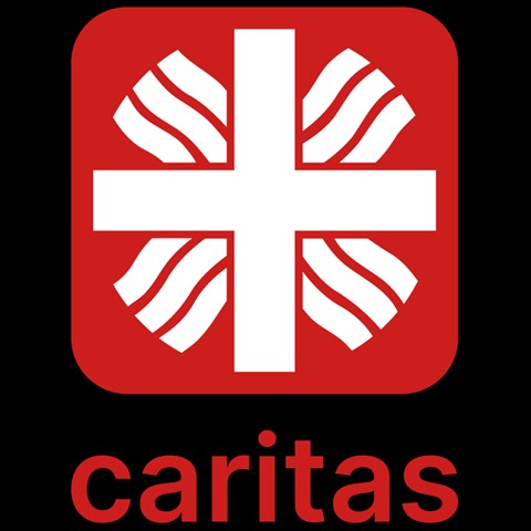 Car-Logo_vertikal_rot_RGB.png